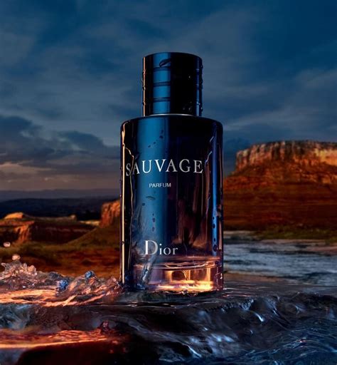 dior sauvage edp dupe|dior sauvage best price.